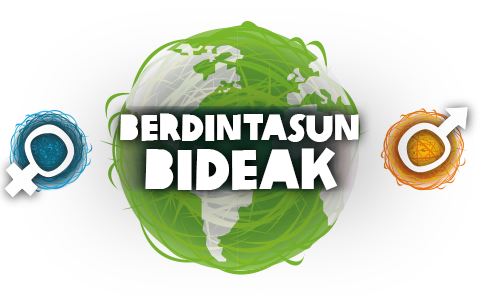 BERDINTASUN BIDEAK