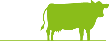 vaca